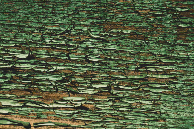 Abstract wood texture with peeling paint. green wooden backdrop. shabby painted wood background