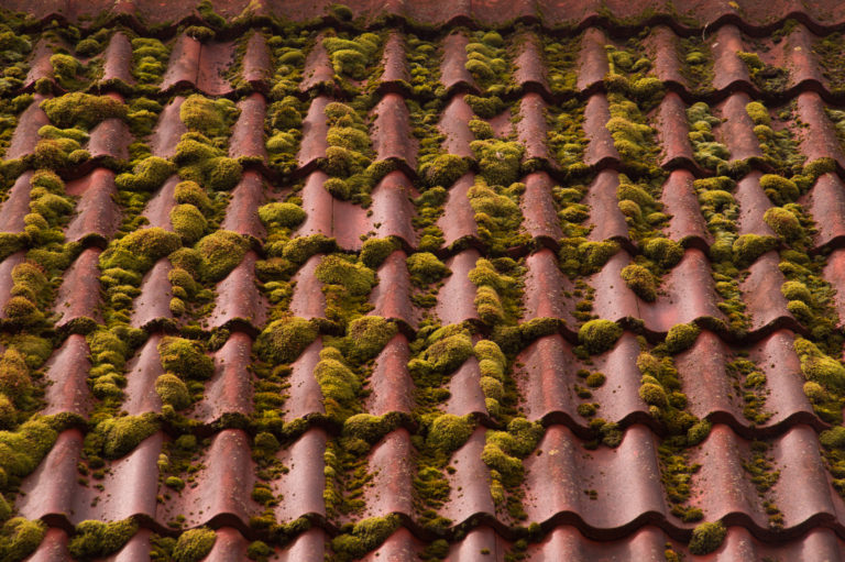 red tile roof texture background